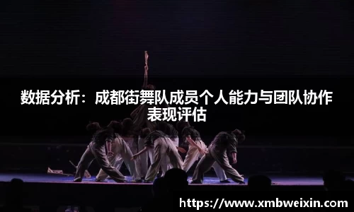 数据分析：成都街舞队成员个人能力与团队协作表现评估